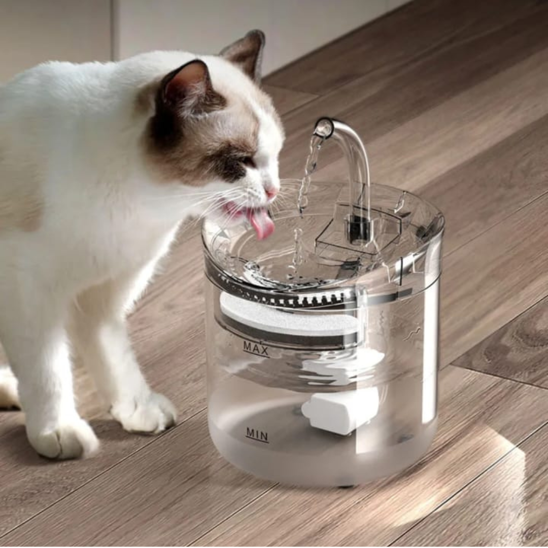 gato tomando agua.png__PID:c4d0b478-a6ac-4866-9ee1-756379533963